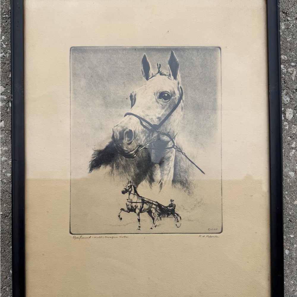 Collectable Greyhound World Champion Trotter Vintage Print in Frame